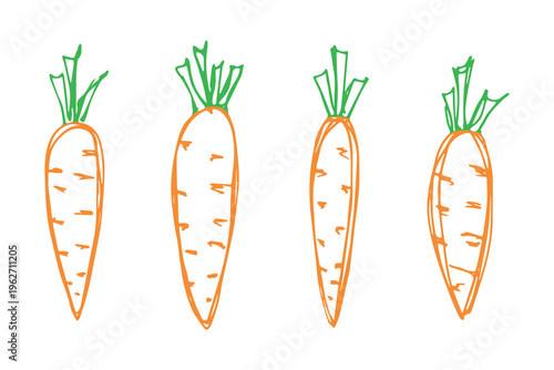 Hand drawn farm carrot plant with green leaves Fresh vegetable doodle set Healthy eco food Organic garden vegetarian food For design, print, packaging, decor, kids books