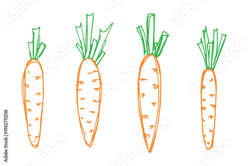 Hand drawn farm carrot plant with green leaves Fresh vegetable doodle set Healthy eco food Organic garden vegetarian food For design, print, packaging, decor, kids books