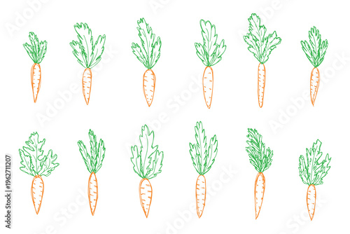 Hand drawn farm carrot plant with green leaves Fresh vegetable doodle set Healthy eco food Organic garden vegetarian food For design, print, packaging, decor, kids books