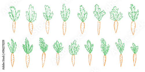 Hand drawn farm carrot plant with green leaves Fresh vegetable doodle set Healthy eco food Organic garden vegetarian food For design, print, packaging, decor, kids books