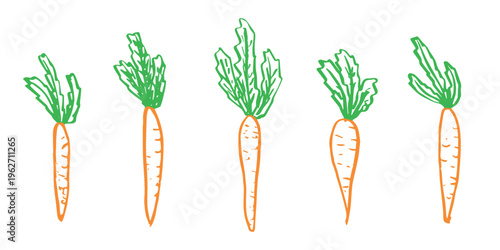 Hand drawn farm carrot plant with green leaves Fresh vegetable doodle set Healthy eco food Organic garden vegetarian food For design, print, packaging, decor, kids books