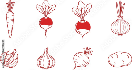 Set of colorful healthy vegetables and root vegetables with a white background.