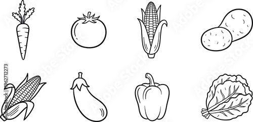 Collection of vegetables: carrot, tomato, corn, potatoes, eggplant, bell pepper, lettuce.