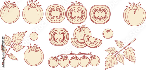Collection of tomato illustrations, including whole fruits, slices, and leaves, in outline style.