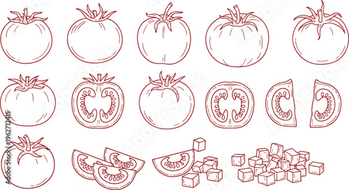 Collection of tomatoes in different forms, whole, half, sliced, and diced, hand-drawn outline.