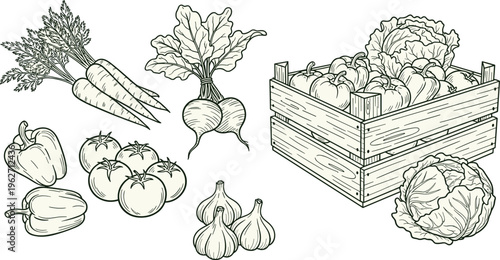 Assorted fresh vegetables in a wooden crate, including cabbage, peppers, tomatoes, beets, and carrots.