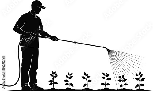 Gardener silhouette spraying young plants with water hose.