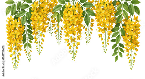 Hanging yellow Cassia fistula flowers with green leaves. Golden shower tree or Kanikkonna floral border, Symbol for the Vishu festival in Kerala