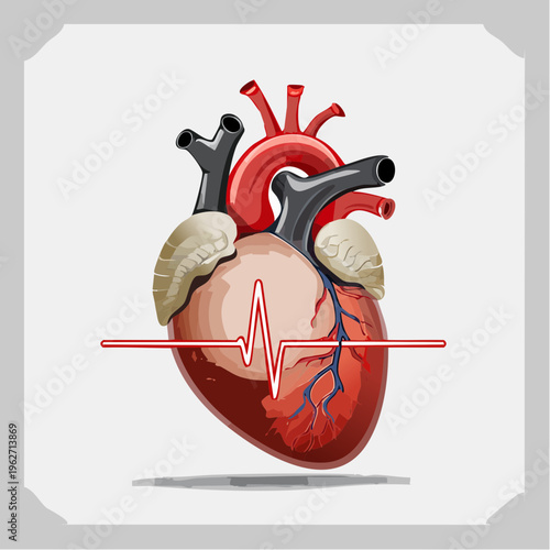 Anatomical illustration of a human heart with a prominent red and white EKG line superimposed over it, representing cardiac health and medical monitoring
