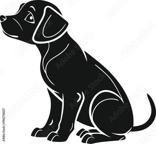 black labrador retriever dog