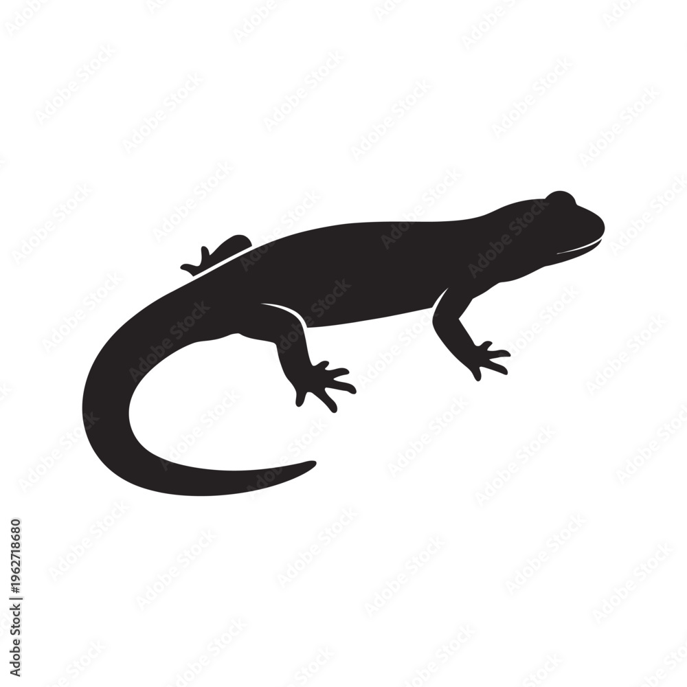 Obraz premium Salamander silhouette black and white illustration