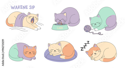 Adorable Flat Vector Cartoon Cats Depicting Daily Routine and Activities Set