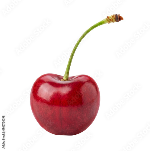 Fresh Red Cherry with Long Stem Isolated on Transparent Background