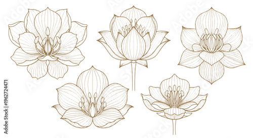 Elegant Art Deco Floral Illustrations Featuring Lotus Flowers