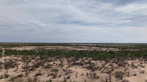 Llanos de Hiray Baja California Sur Mexico Vast Desert Plains Aerial 4K