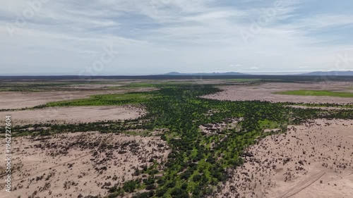 Llanos de Hiray Baja California Sur Mexico Vast Desert Plains Aerial 4K
