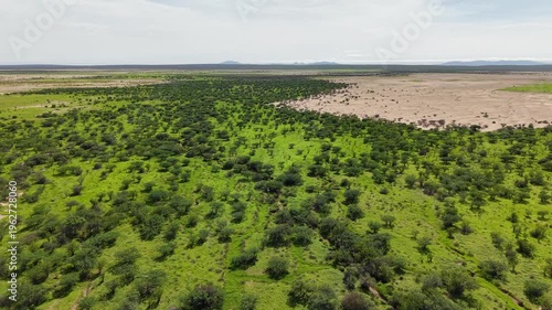 Llanos de Hiray Baja California Sur Mexico Vast Desert Plains Aerial 4K