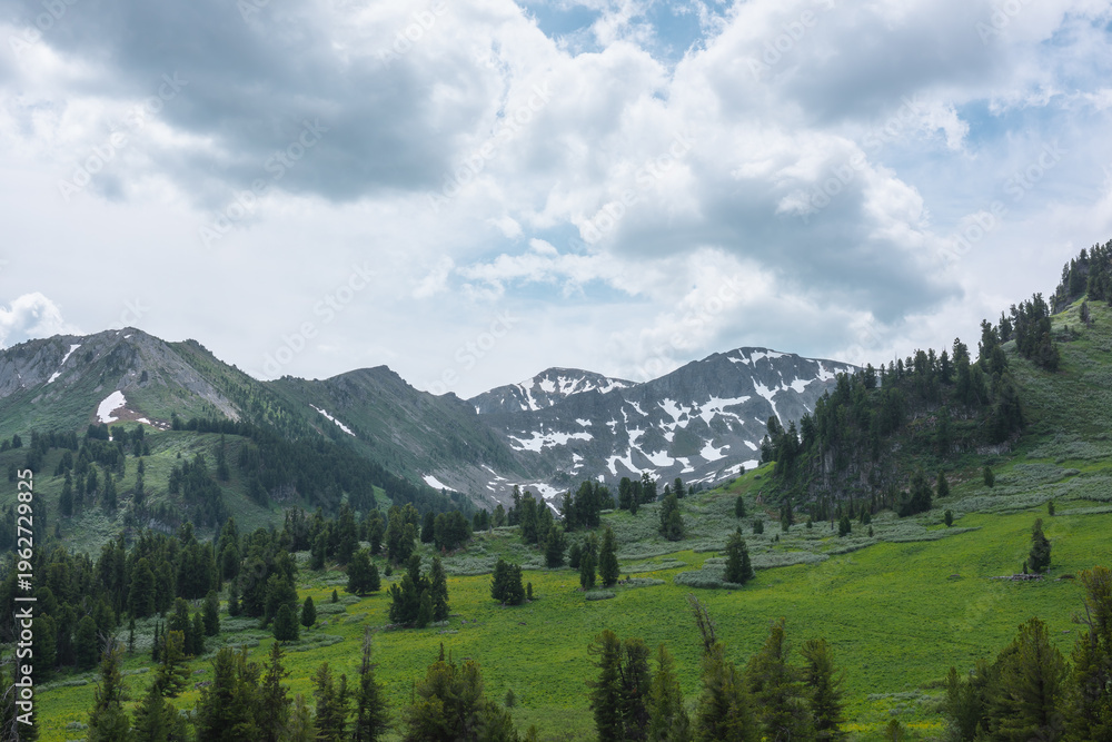 Fototapeta premium Vivid green landscape with forest hills and high rock mountain range with snow under lush clouds in blue sky. Conifer trees on pass and sharp rocky mountains with sheer crags in changeable weather.