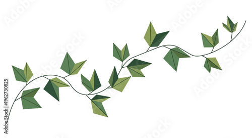 Green Ivy Vine with Geometric Leaves on White Background