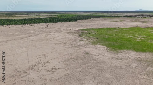 Llanos de Hiray Baja California Sur Mexico Vast Desert Plains Aerial 4K