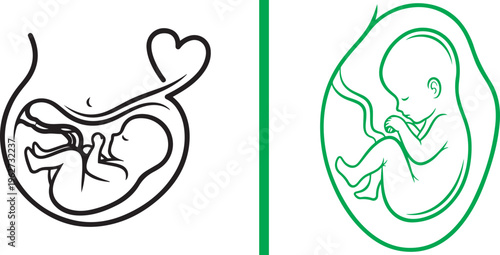 Two minimalist line art illustrations of a fetus. The left features a black outline with a heart-shaped umbilical detail, while the right displays a fetus inside a green oval womb.