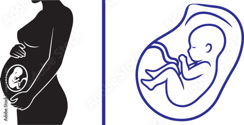 Minimalist vector set featuring a solid black silhouette of a pregnant woman and a detailed blue line art illustration of a fetus in the womb, representing maternity and prenatal growth.