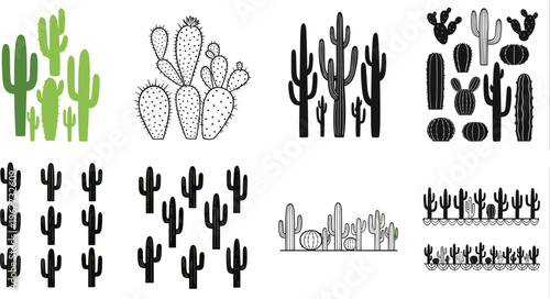 Hand-drawn cactus vector collection featuring various types of desert cacti, succulents, prickly pear, and saguaro plants, perfect for botanical, desert, southwestern, and nature-themed designs