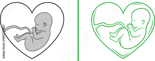 Minimalist line art vector of a fetus inside a heart frame, symbolizing prenatal life. Features a gray shaded silhouette and a bright green outlined version on a clean background.
