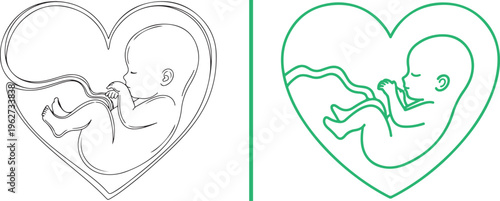 Minimalist line art vector featuring a fetus inside a heart frame, symbolizing prenatal love and life. Includes a fine black line style and a bold green outline.
