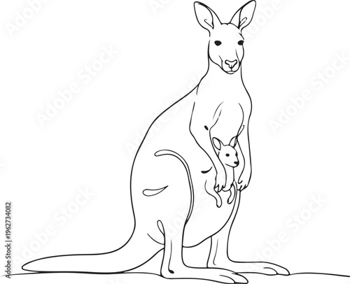Kangaroo Outline Silhouette Minimal Animal Line Art Vector Illustration