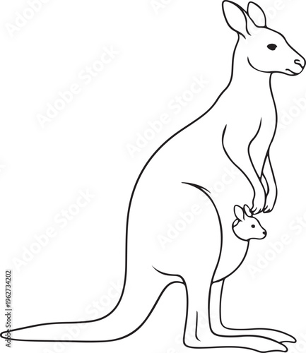 Kangaroo Outline Silhouette Minimal Animal Line Art Vector Illustration