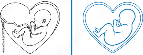Artistic vector line drawings of a fetus inside a heart frame, representing the beauty of new life. Features a continuous line style and a classic blue outline.