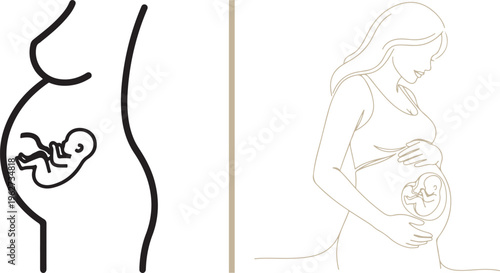 Elegant line art vector illustrating the stages of pregnancy, featuring side profiles of expectant mothers and detailed depictions of a fetus developing within the womb.
