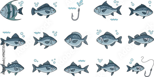 Fish species vector set with freshwater and ocean fish hook aquatic animals detailed illustration collection