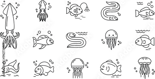 Marine life line icon vector set with fish squid eel jellyfish and underwater ocean animals outline collection