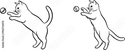 Two cats playing with balls.