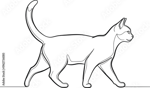 Walking Cat Side Profile View.