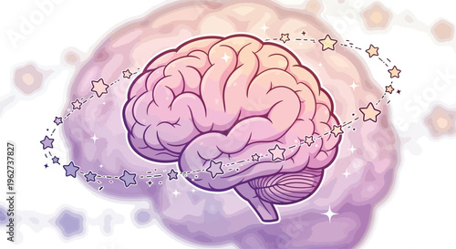 Human Brain Anatomy Mental Health.