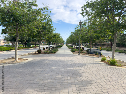 Tree lined sidewalk stretches forward with benches lamps and greenery along the path paved blocks and clean surroundings create an inviting and peaceful urban outdoor environment
