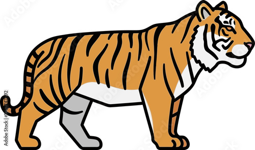 tiger vector illustration