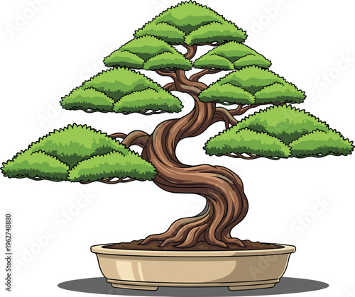 Bonsai tree illustration in pot, decorative miniature plant with twisted trunk and green foliage, isolated vector on white background