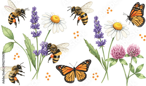 Realistic bees butterflies and wildflowers botanical illustration set pollination garden nature elements lavender daisy clover detailed vector collection