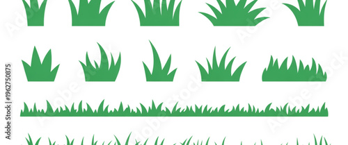 Exploring the diverse forms and textures of grass in various growth stages and styles for visual and design purposes isolated on transparent background