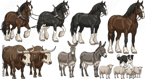 Farm Animals and Working Animal Illustrations Featuring Horses, Donkeys, Cows, Sheep, and Border Collies for Agricultural and Rural Designs