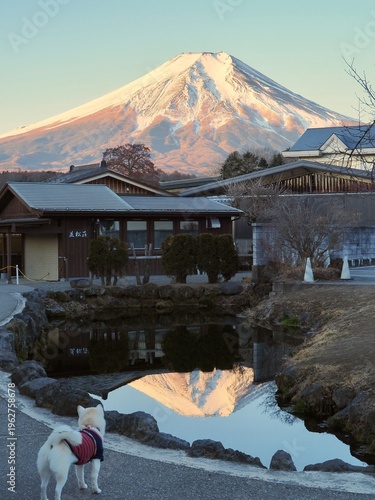 早朝の忍野八海