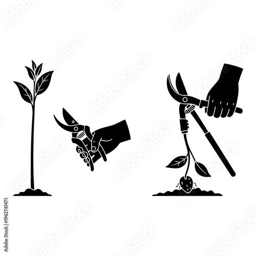 Gardening tools, plant care icons, pruning shears, hand tools, gardening set, 3 icons