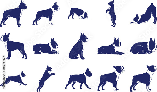 Blue Boston Terrier Silhouette Collection silhouettes