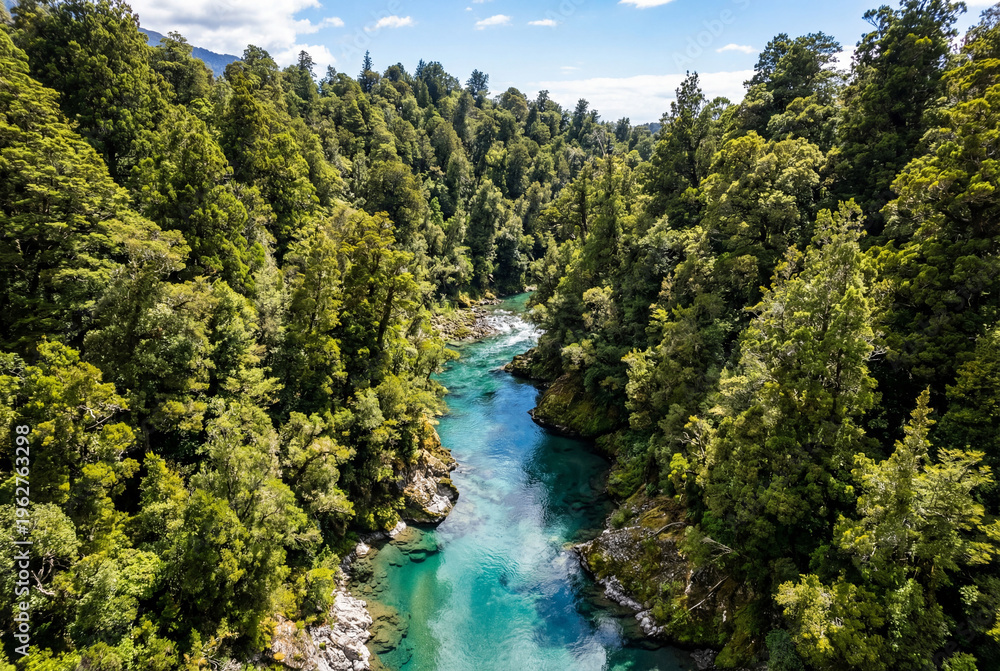 Obraz premium Aerial drone view of pristine temperate forest with winding clear river