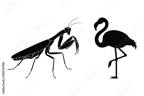 Praying mantis and flamingo silhouettes