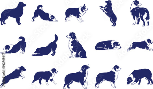 Blue Silhouette Australian Shepherd Dog in Various Poses